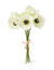 White Mini Poppy Bundle